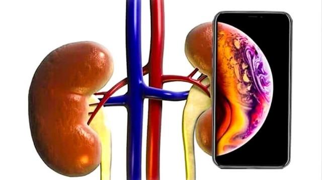 價格顛覆者的智慧 為什么計算機軟硬件更理性？探秘走向行業繁榮而非泡沫的創新之道